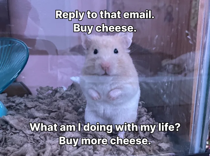 A puzzled hamster with a brain dump: Reply to that email. Buy cheese. What am I doing with my life? Buy more cheese.