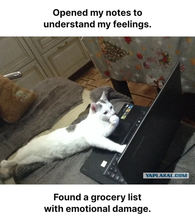 A cat rests in front of a laptop beneath the caption: Opened my notes to understand my feelings. Found a grocery list with emotional damage.