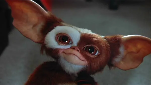 Gizmo the gremlin looking up with wide eyes