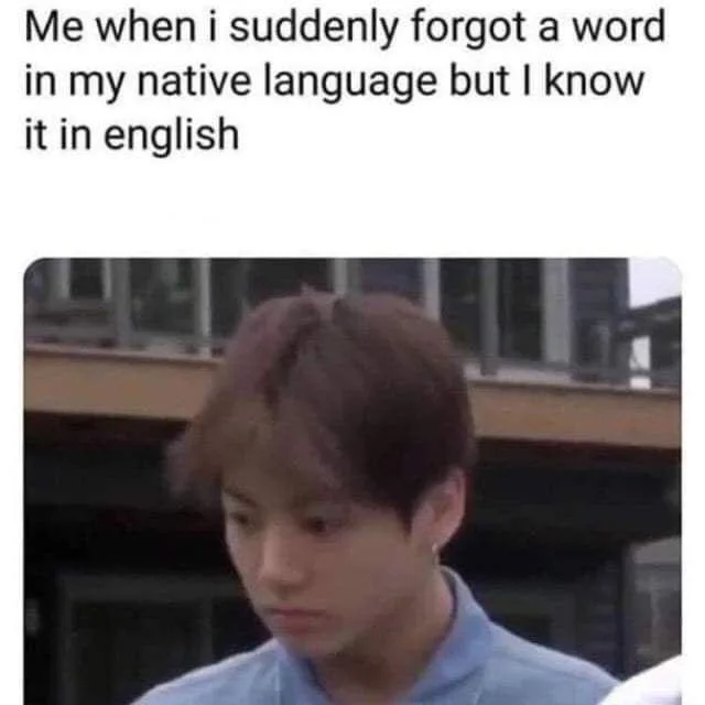 A meme about forgetting a word in your native language but remembering it in English
